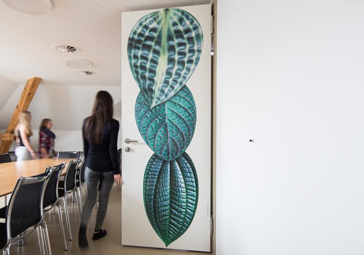 Werk 5: Querbeet 2004 Farb- und Materialkonzept Chalet5 Karin Wälchli & Guido Reichlin