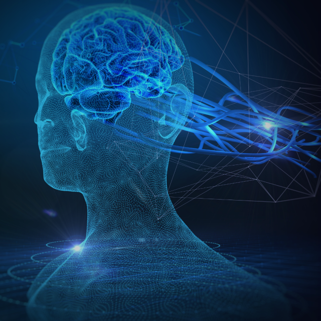 Neurowissenschaft Neurowissenschaft
