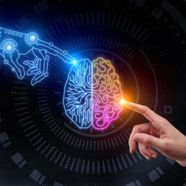 Flexicurity: Der Schlüssel zur Zukunft zwischen Freiheit und Kontrolle