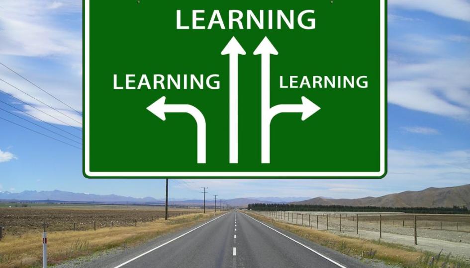 Die Möglichkeiten nach der DHF Lehre sind vielseitig