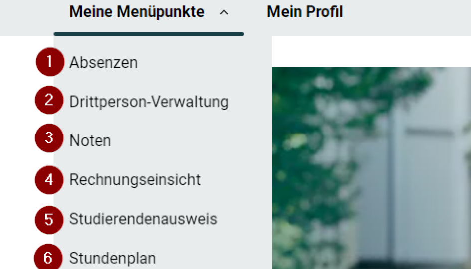 Schulinformationssystem Tocco